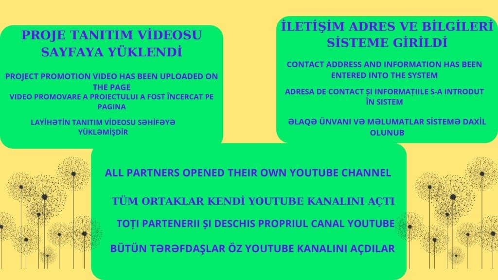 Şubat Geri Bildirim